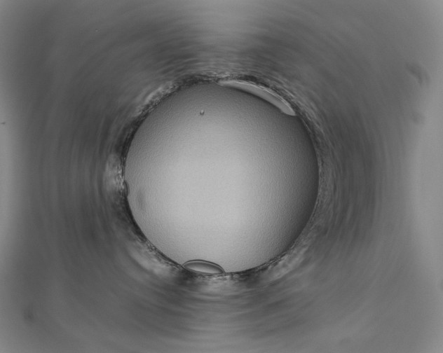 X0000112770384200909031615