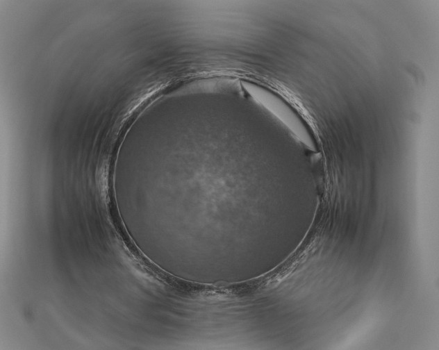 X0000112770386200909031615