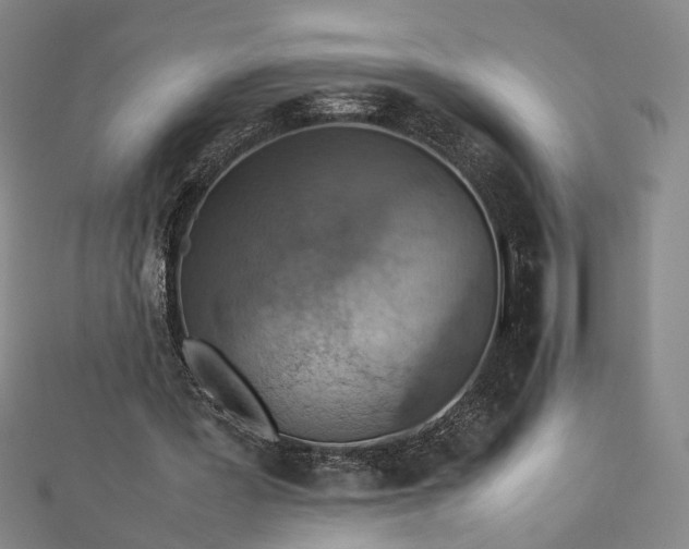 X0000112770387200909031615