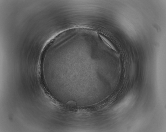 X0000112770388200909031615