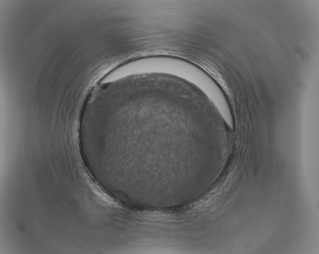 X0000112770389200909031615