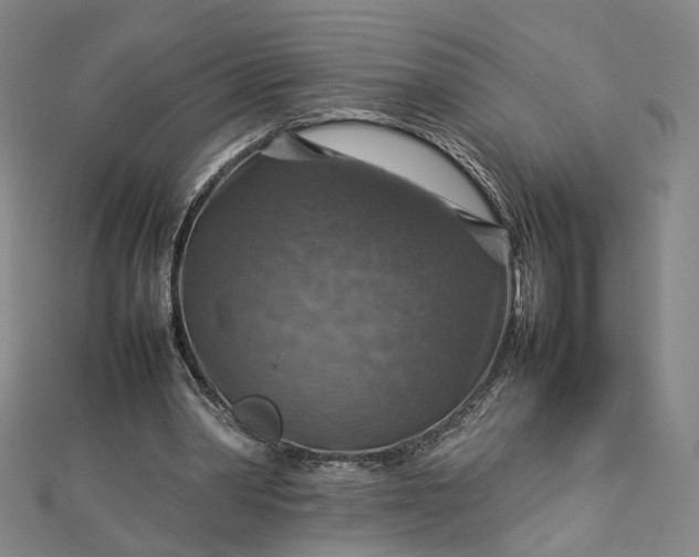 X0000112770390200909031615