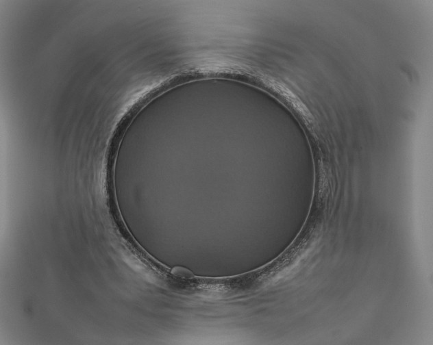 X0000112770391200909031615