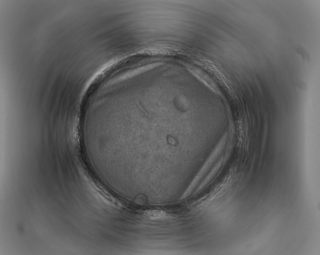 X0000112770392200909031615