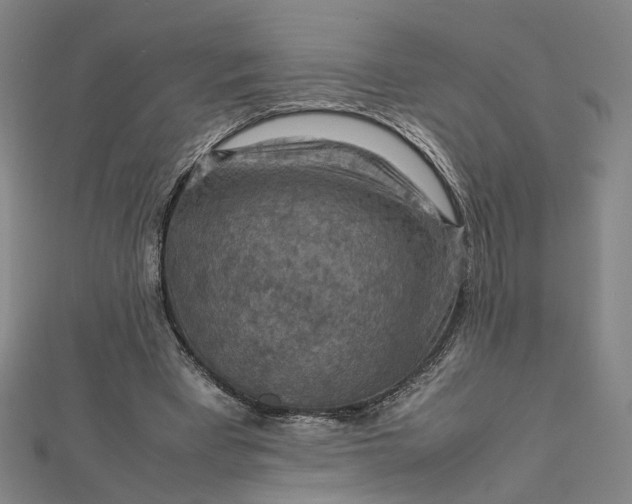 X0000112770393200909031615