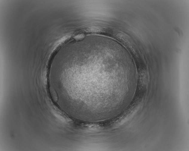 X0000112770395200909031615