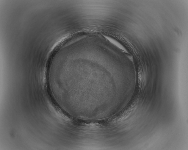 X0000112770396200909031615