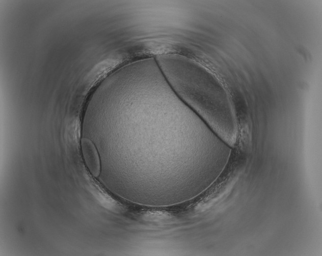 X0000112770397200909031615