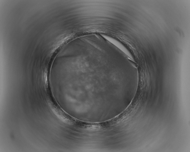 X0000112770398200909031615