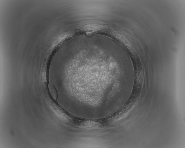 X0000112770399200909031615