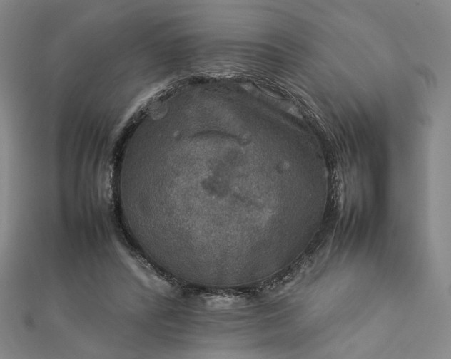 X0000112770400200909031615