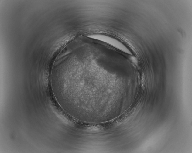 X0000112770402200909031615