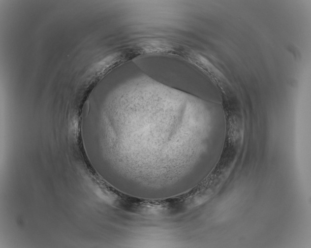 X0000112770405200909031615