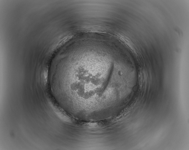 X0000112770406200909031615