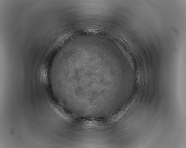 X0000112770408200909031614