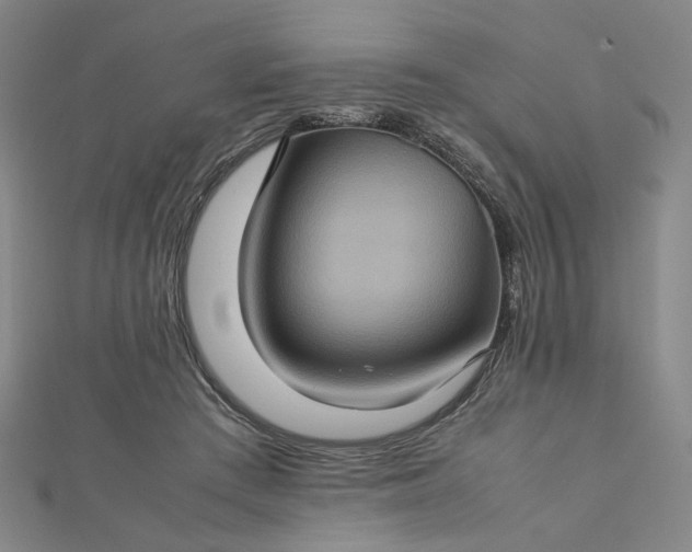 X0000112770409200909031614