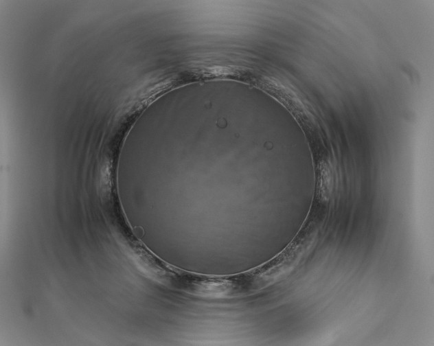 X0000112770410200909031614