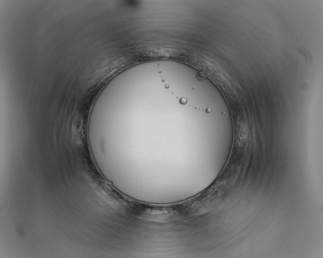 X0000112770414200909031614