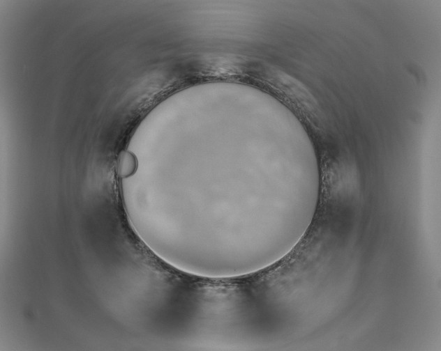 X0000112770415200909031614