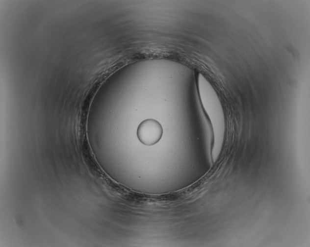 X0000112770416200909031614