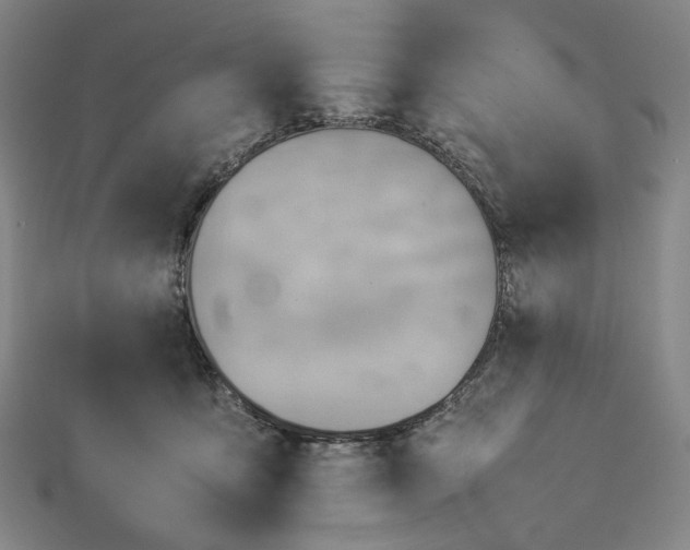 X0000112770419200909031614