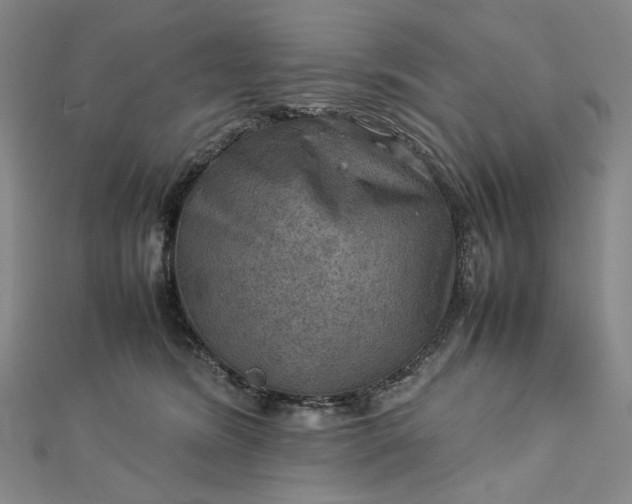 X0000112770420200909031614