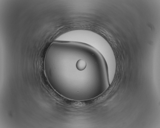 X0000112770421200909031614