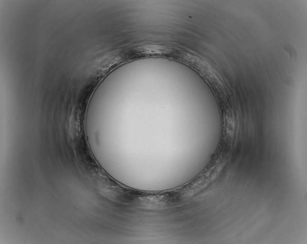 X0000112770422200909031614