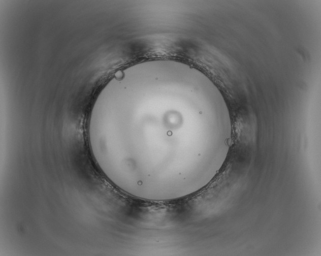 X0000112770423200909031614