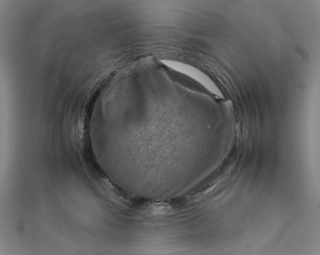 X0000112770424200909031614