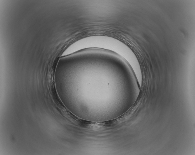 X0000112770425200909031614