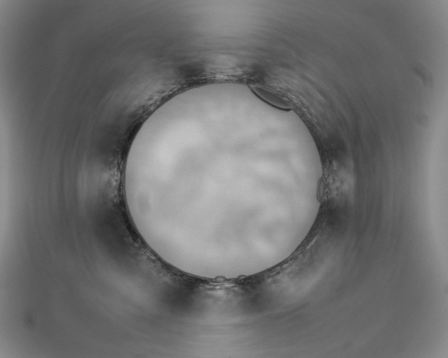 X0000112770427200909031614