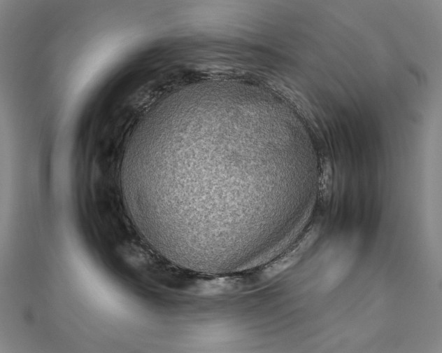 X0000112770430200909031614