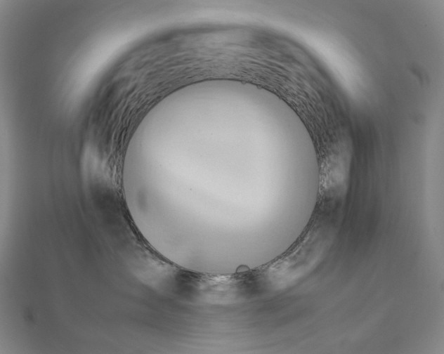 X0000112770431200909031614