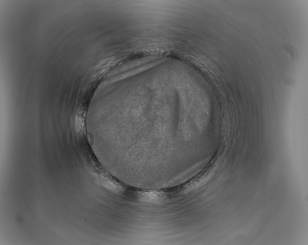 X0000112770432200909031614