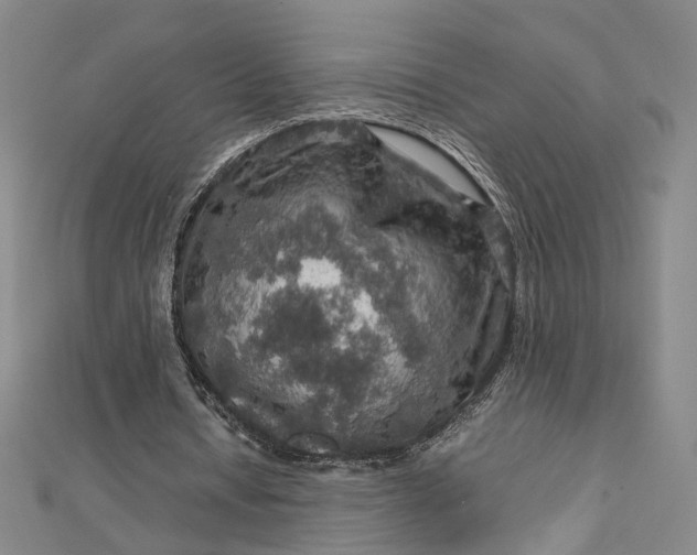 X0000112770434200909031614