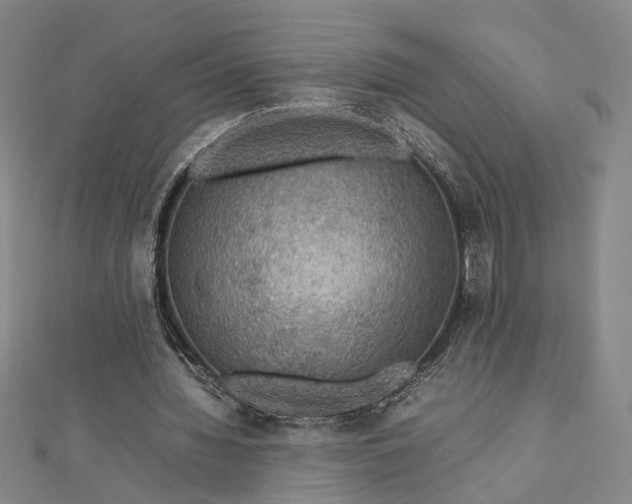 X0000112770436200909031614