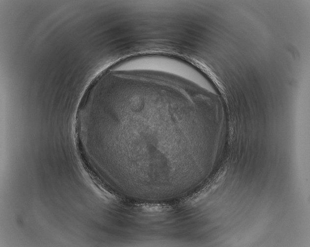 X0000112770439200909031614