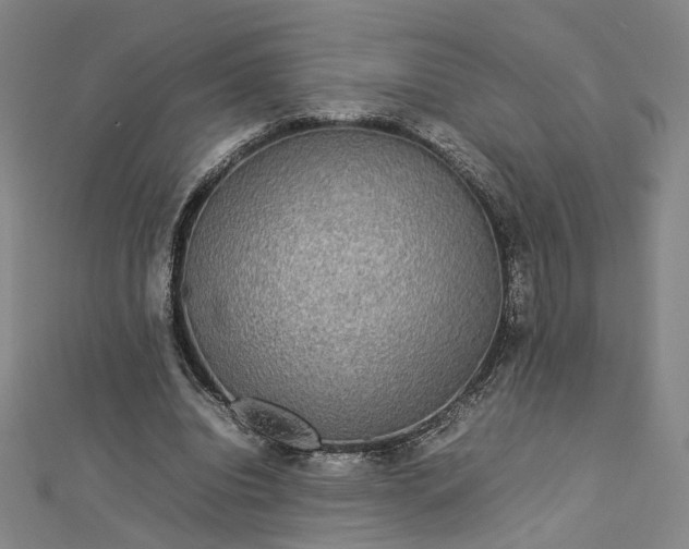 X0000112770440200909031614