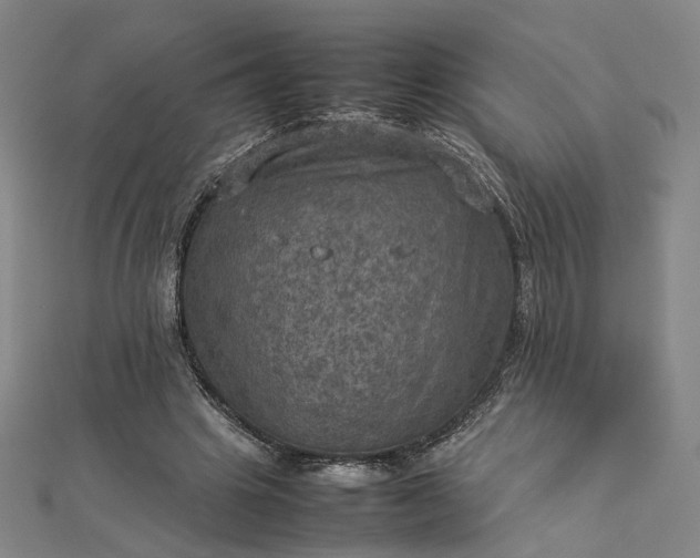 X0000112770441200909031614