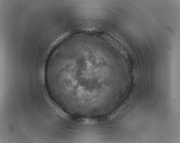 X0000112770442200909031614