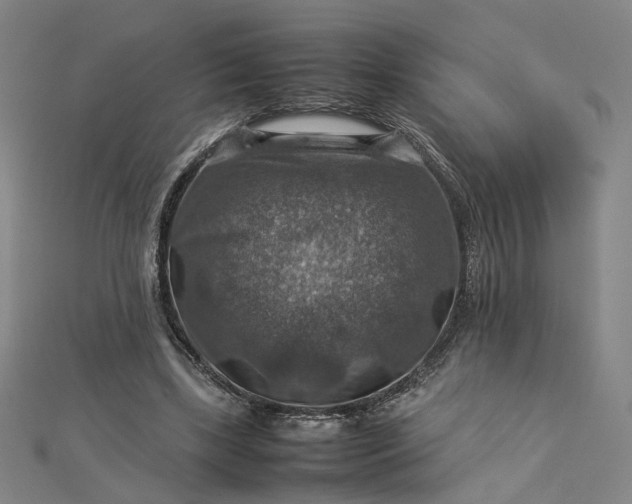 X0000112770443200909031614