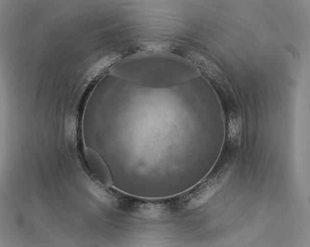 X0000112770444200909031614