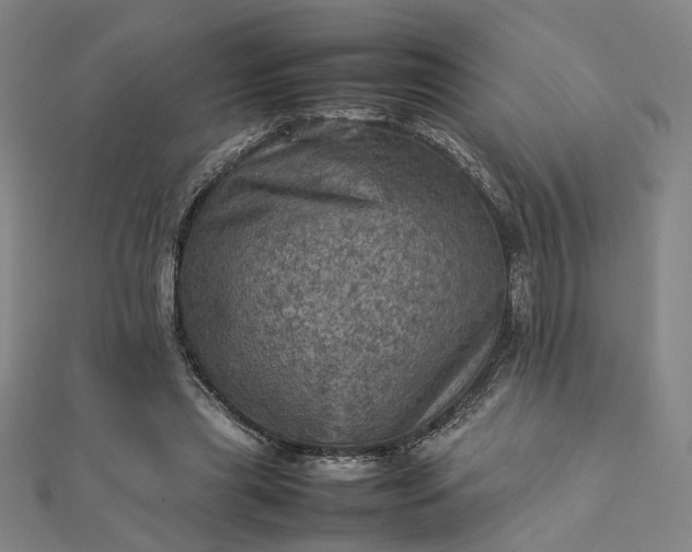 X0000112770445200909031614