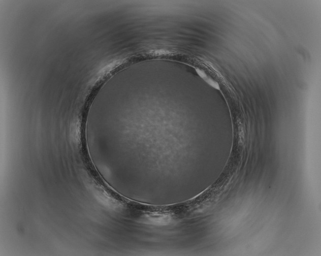 X0000112770447200909031614