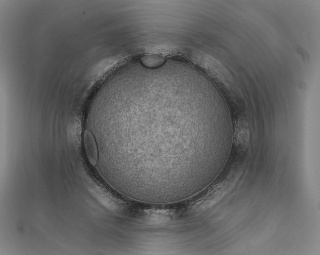 X0000112770448200909031614