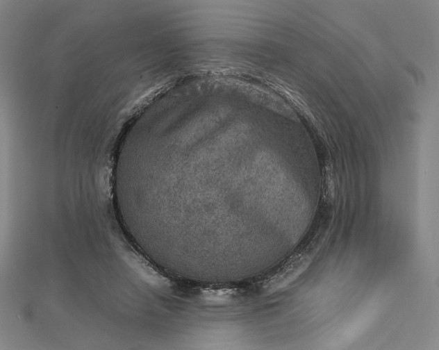 X0000112770450200909031614