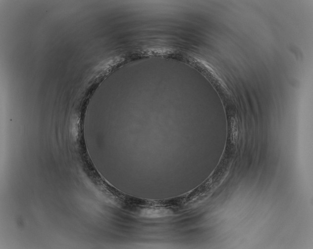 X0000112770451200909031614