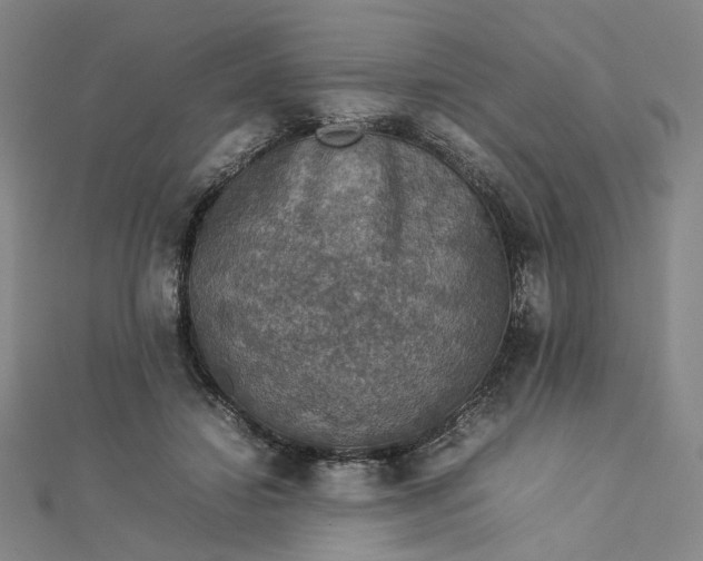 X0000112770452200909031614