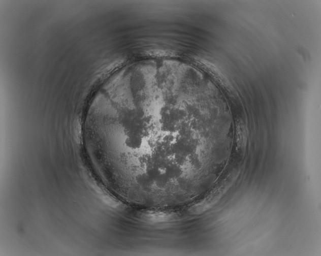 X0000112770453200909031614